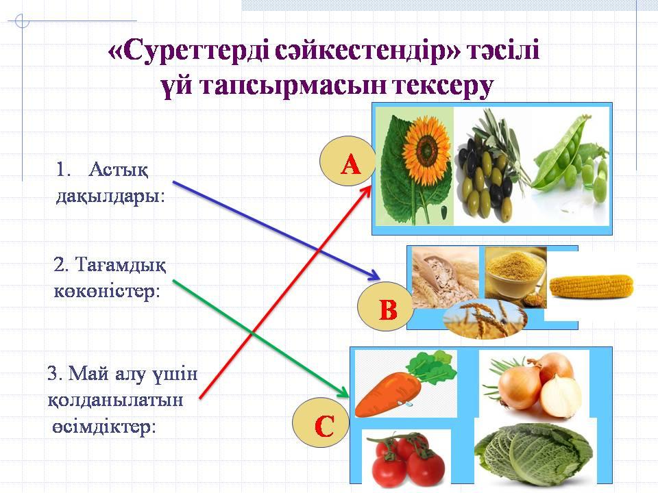 Өсімдік тіршілігіне қажетті жағдайлар