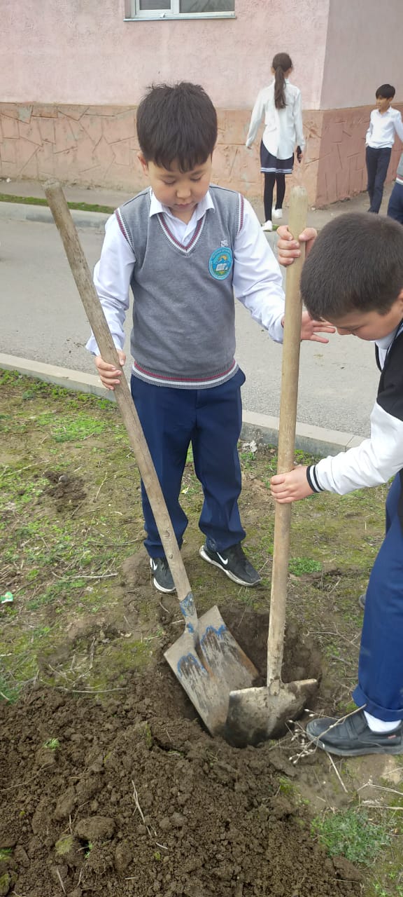 Үштерек орта мекьебінде "Туған өлкем"  жобасы аясында көгалдандыру жұмысы жүргізілді